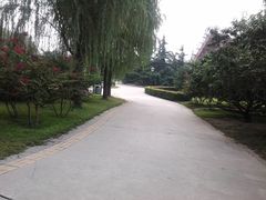 -康庄公园