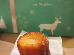 -Madeleine玛德琳(永平里店)