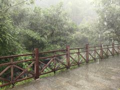 -石台牯牛降景区