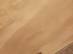 -扬州绿地铂骊酒店