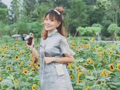 景点-天府芙蓉园