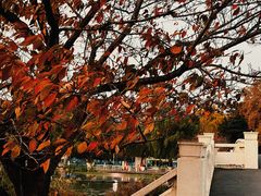 -WeLope紫金山探险公园