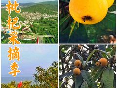 -东山风景区(洞庭东山)