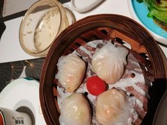 -新兴·金羊座·粤菜点心(乐峰店)