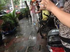 盛京一禾-盛京一禾