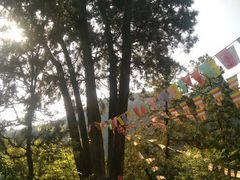 -北京上方山国家森林公园