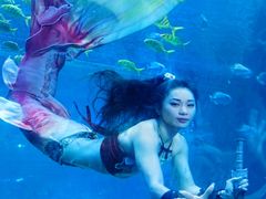 -华夏文旅海洋公园