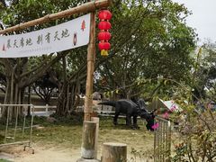 -光明小镇欢乐田园