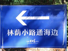 -棒棰岛宾馆景区