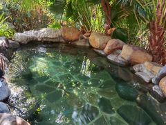 -天芳悦潭度假村温泉