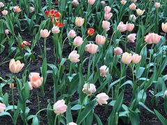 -长春公园(普阳街道)