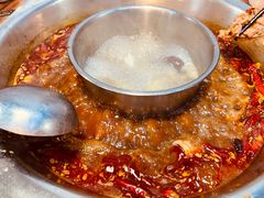 -金鼎雪山牦牛杂火锅(理县总店)