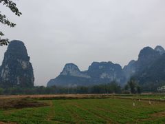 -明仕田园