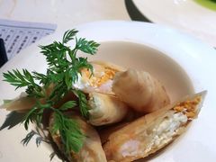 -点都德·毕德寮