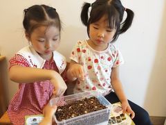 -上海市宝山星佑博爱幼儿园
