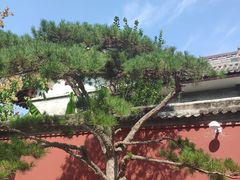 -西安市广仁寺