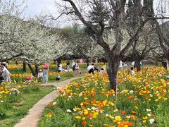 -名花谷生态庄园