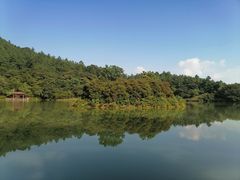 -广州白江湖森林公园