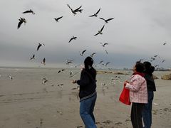 -老虎石海上公园