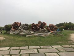 -上海海湾国家森林公园