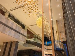 -视界美食自助餐厅·石家庄希尔顿酒店