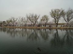 -颐和园