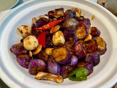 -同乐馆(阳光店)