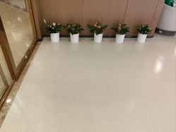 -丰联丽格医疗美容·联合丽格眼整形中心