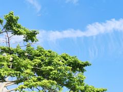 -星巴克(深圳前海企业公馆店)