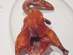 首创昆明BB乳鸭-东富酒家(龙湖西溪天街店)