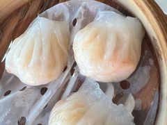 -高第街56号港式餐厅(山大路店)