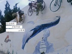 -枸杞岛
