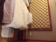 圣爵菲斯大酒店-圣爵菲斯大酒店(长沙世界之窗店)