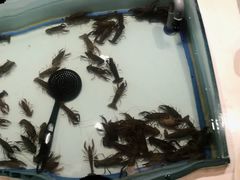 -星伦多海鲜自助餐厅(徐州铜山万达店)