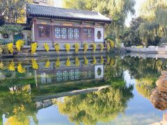 -趵突泉景区
