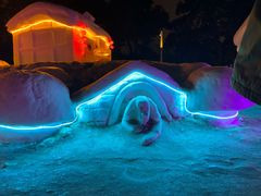 -长春市南湖公园