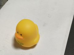 -戏精管理局·剧本杀·桌游·血染钟楼