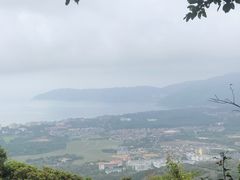 -亚龙湾热带天堂森林公园