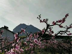 -桃花岛景观公园