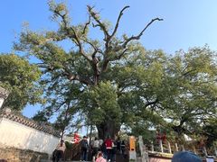 -新安江山水画廊风景区