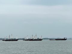 -鄱阳湖国家湿地公园