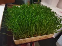 -九鼎轩脆毛肚火锅(三钢里店)