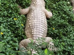 -清迈夜间动物园