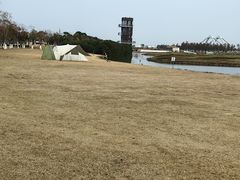 -春花秋色城市公园