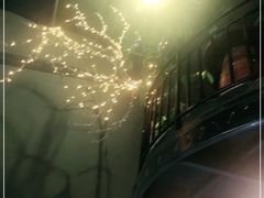 -土蚝·高压锅生蚝(百姓美食街店)