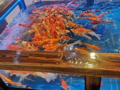 -Play1家庭娱乐中心(包河大玩家店)