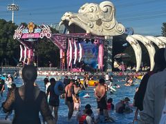 -苏州乐园森林水世界