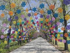 -农垦当壁镇兴凯湖旅游度假区