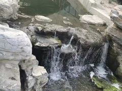 -白水寺森林公园