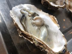 -蚝英雄鲜蚝自助专门店(长楹天街直营店)